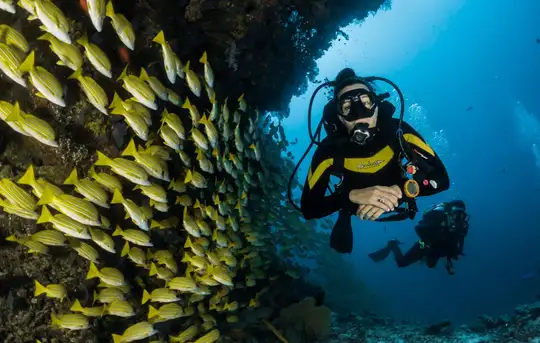 Scuba Diving