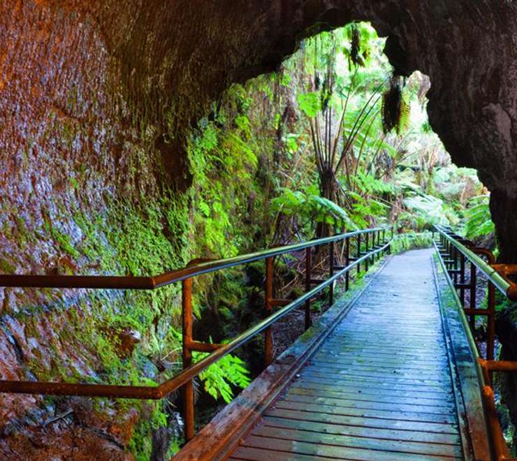 Fern Grotto Tour 