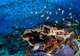 Snorkel the Protected Marine Sanctuary