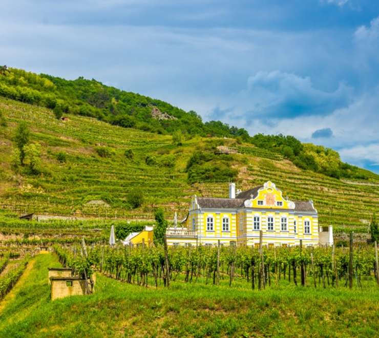 Domäne Wachau Winery
