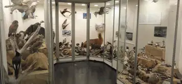 Museo del Fin del Mundo