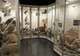 Museo del Fin del Mundo