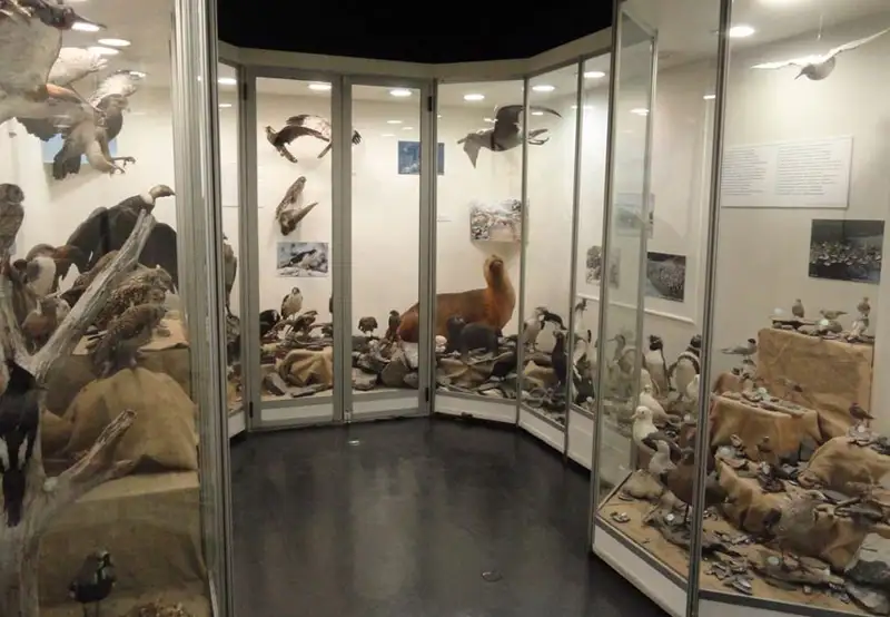Museo del Fin del Mundo