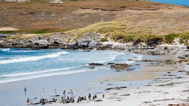 Falkland Islands - Overnight onboard