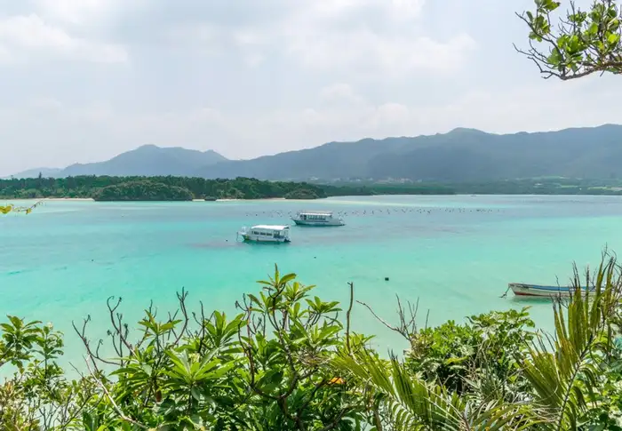 Photo of Day 7: Ishigaki