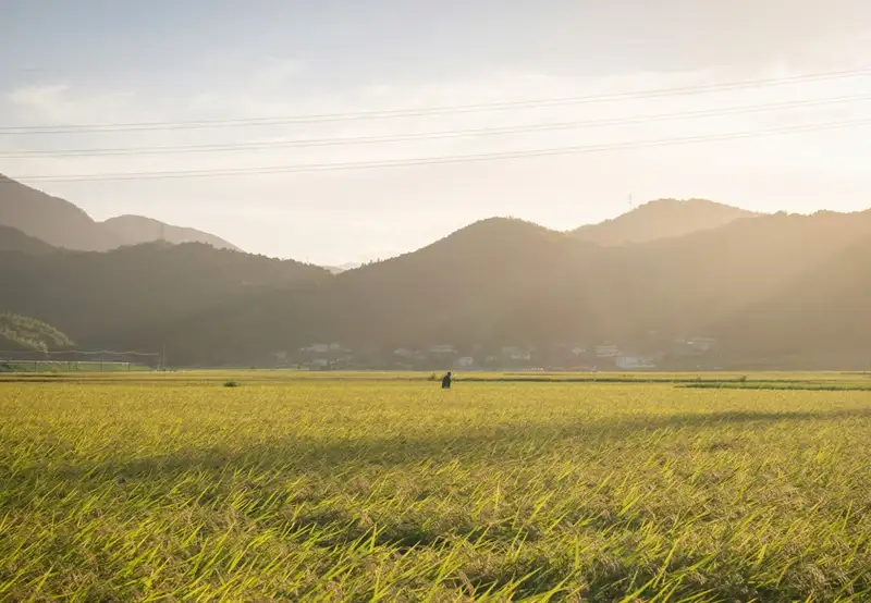 Tokushima