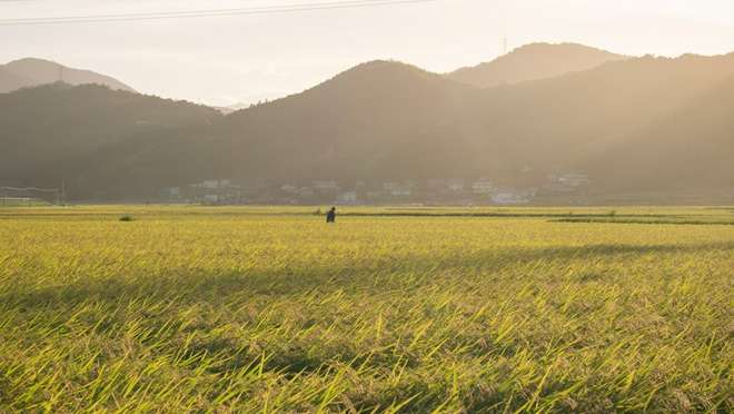 Tokushima
