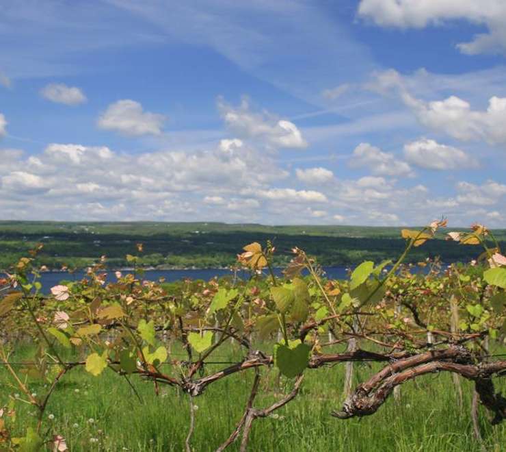 Finger Lakes