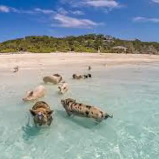 Exuma Island