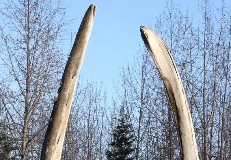 Alaska Native Heritage Center