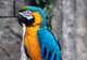 NATUWA Wildlife Sanctuary