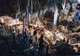Ngilgi Cave Ancient Lands Experience