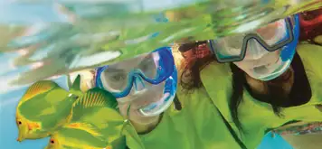 Underwater Snorkel Garden