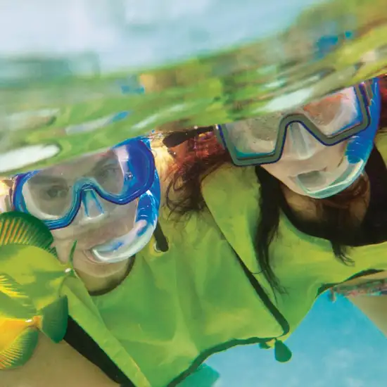 Underwater Snorkel Garden