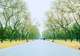 Temple of Heaven Parks