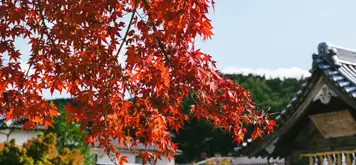 Yatsushiro