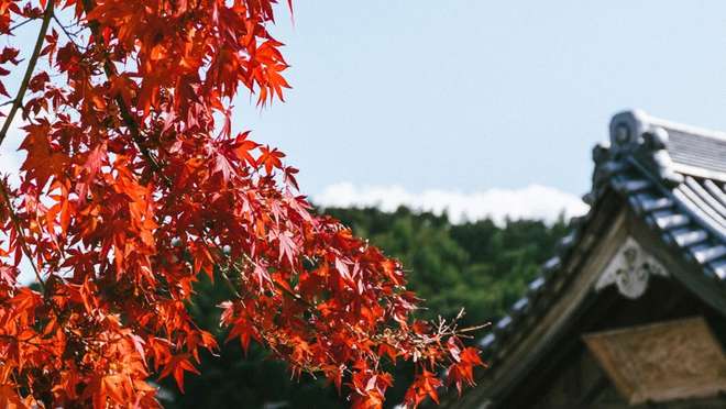 Yatsushiro