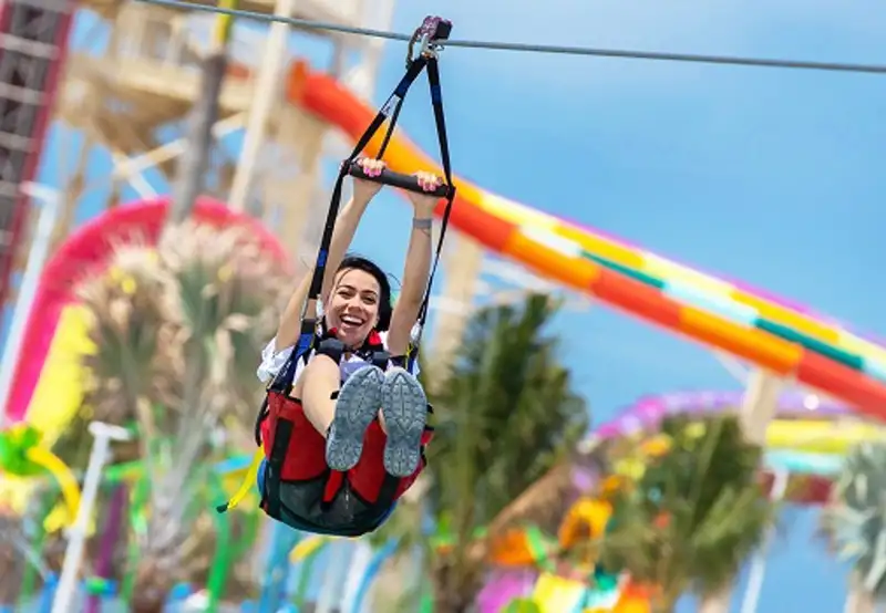 Zip Line