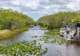 Everglades National Park 