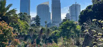 Royal Botanic Garden 