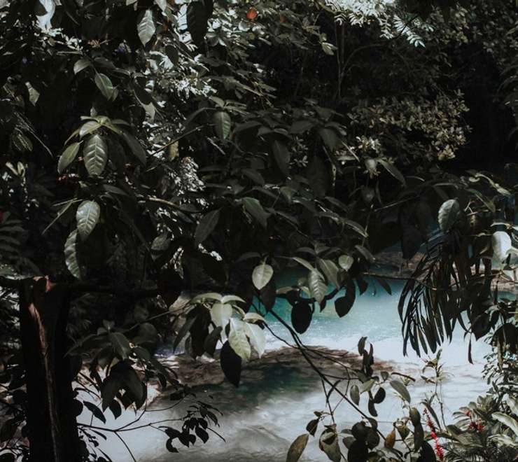 Dunn's River Falls