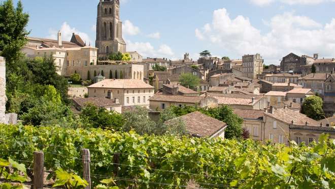 Savour rich regional wines in Bordeaux