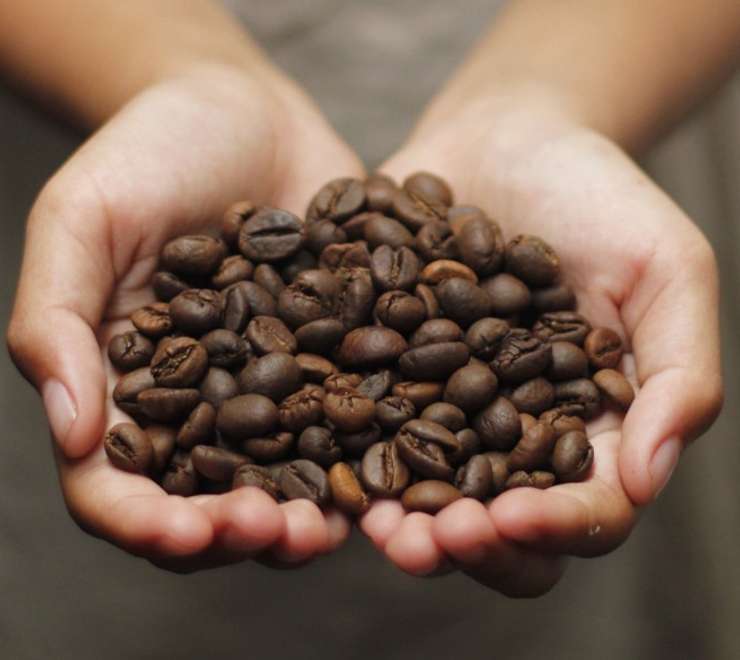 Visit Highland Coffee Farms