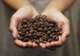 Visit Highland Coffee Farms