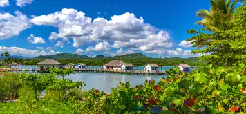 Amber Cove