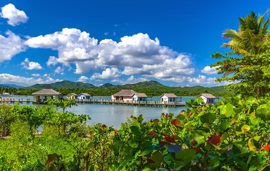 Amber Cove