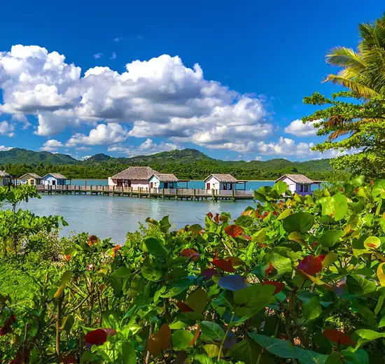 Amber Cove