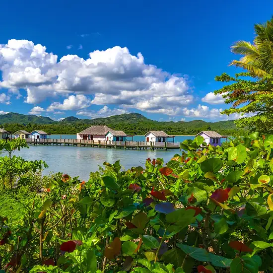 Amber Cove