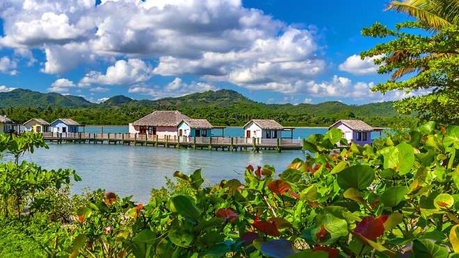 Amber Cove