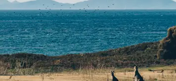 Kangaroo Island