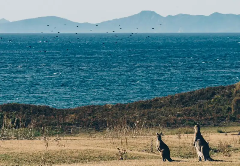 Kangaroo Island
