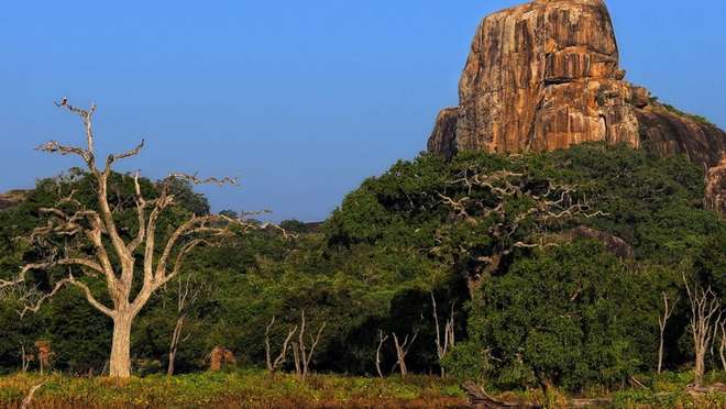 Hambantota 