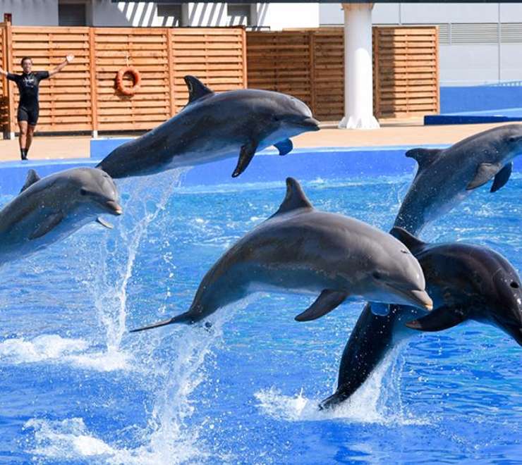 Oceanografic