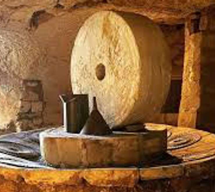 Visit the Underground Olive Mills