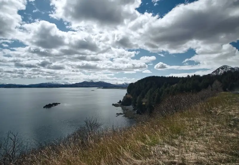 Kodiak