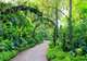Singapore Botanic Gardens
