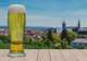 Beer Tasting and Brewery Tours