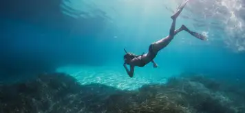 Scuba Diving