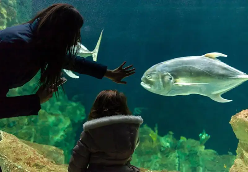Livorno Aquarium