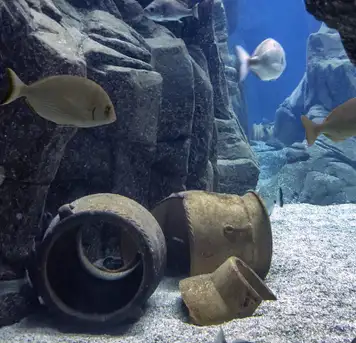 Cretaquarium Thalassocosmos